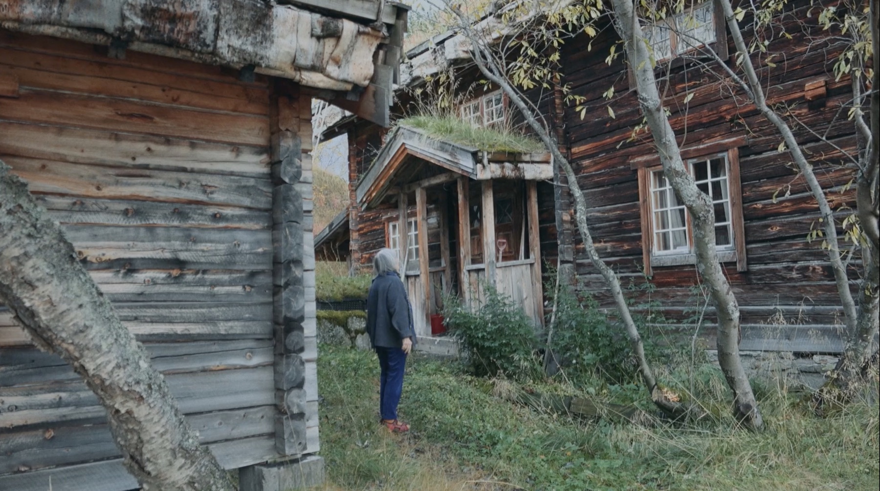 Kajsa Zetterquist walking between timber buildings at her home on Saltfjellet